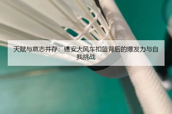 天赋与意志并存:锡安大风车扣篮背后的爆发力与自我挑战